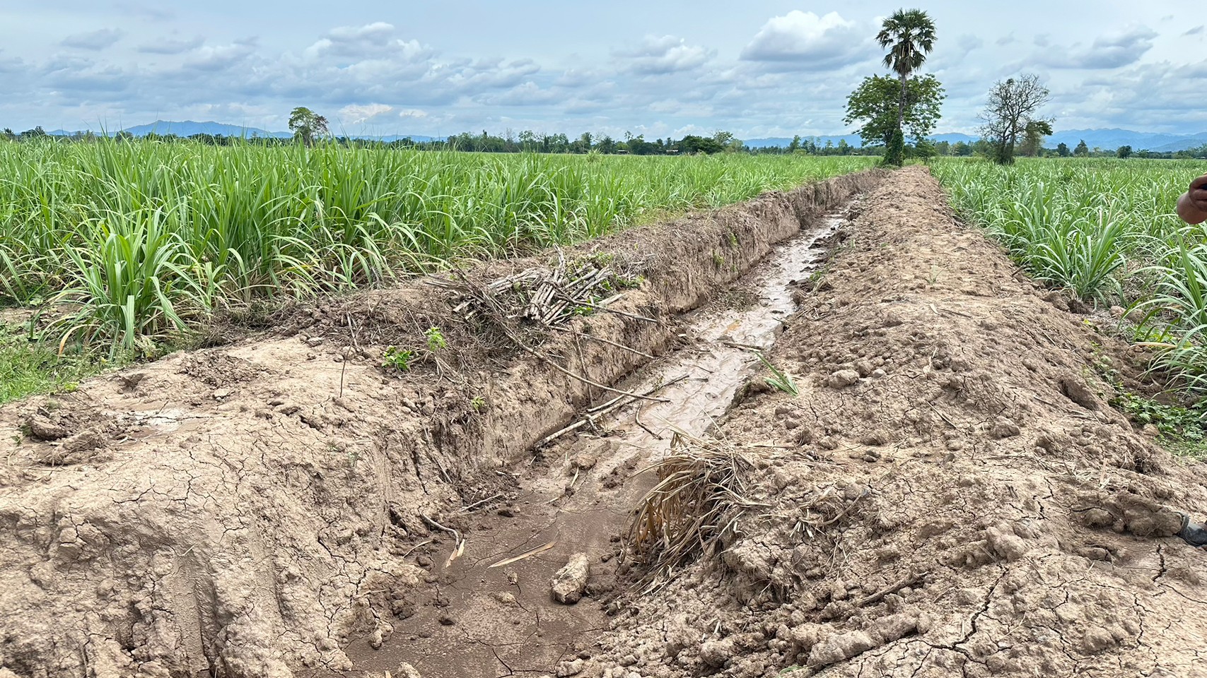 title - สำรวจความเหมาะสมงานพัฒนาโครงสร้างพื้นฐานในเขตปฏิรูปที่ดินจังหวัดสุโขทัย